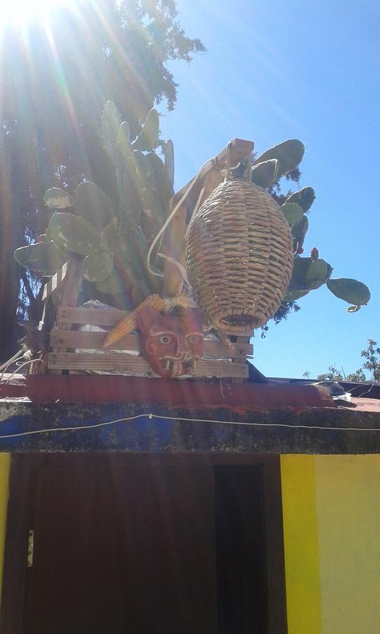 Hostal Nahui Ollin San Cristóbal de Las Casas Exteriör bild